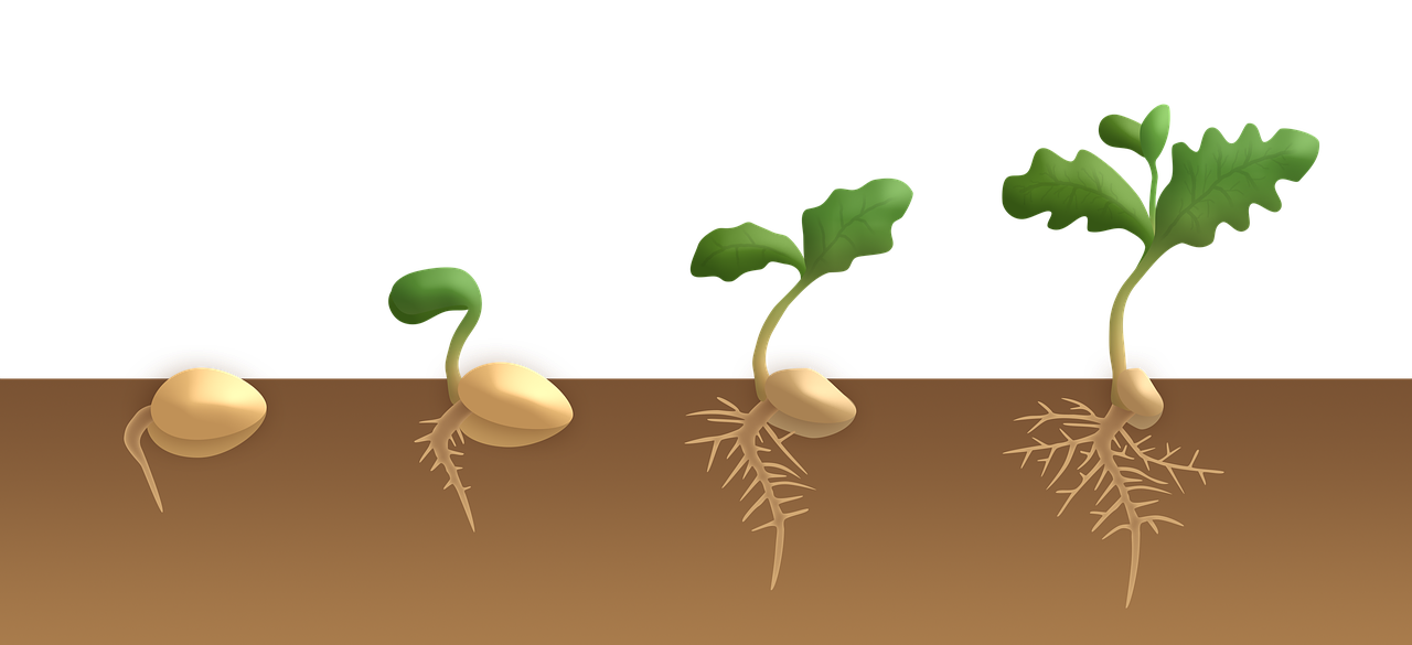 Η ΠΙΟ ΣΗΜΑΝΤΙΚΗ ΜΕΡΑ ΤΗΣ ΖΩΗΣ ΜΑΣ